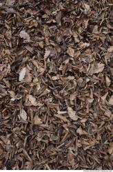 Photo Textures of Nature Mixed